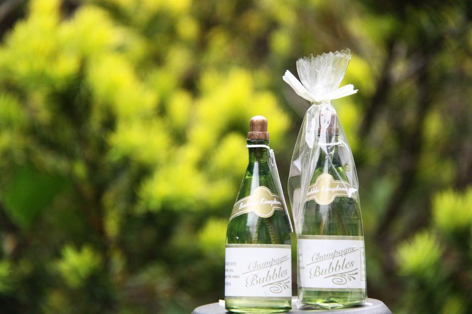 Green Bottles alcohol beverage