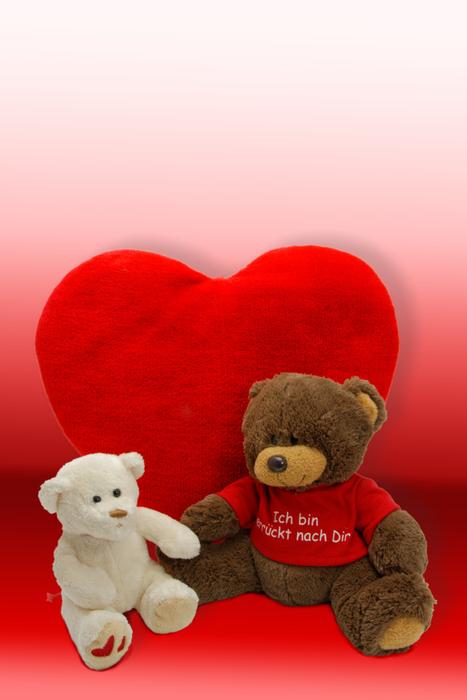 Bear Stuffed Animal Teddy