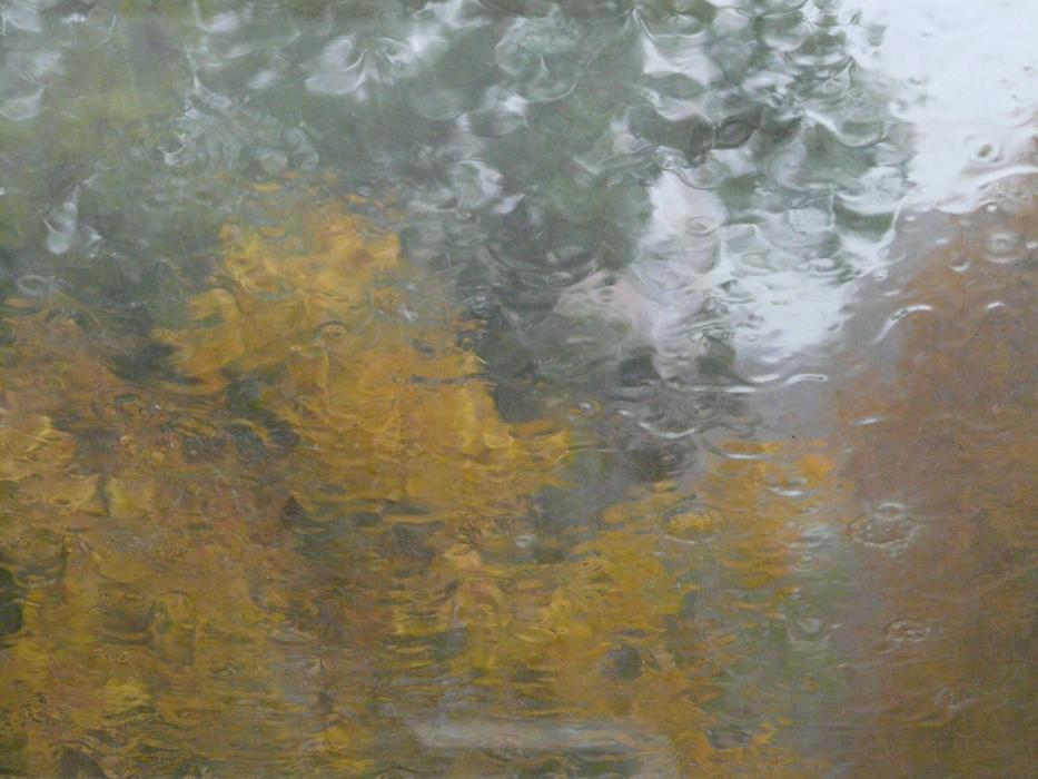 Rain Disc Blurry