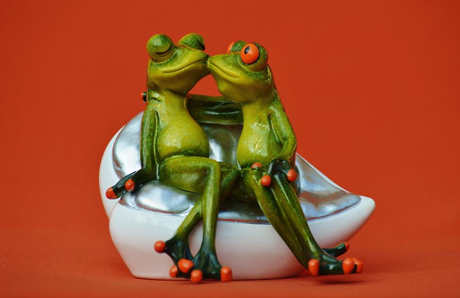Frogs Lovers Funny