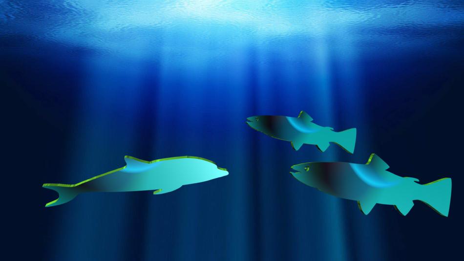 dolphin aquatic fishes