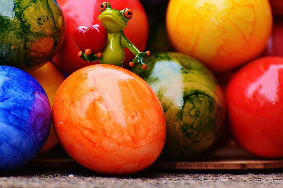 Easter Frog Funny artwork