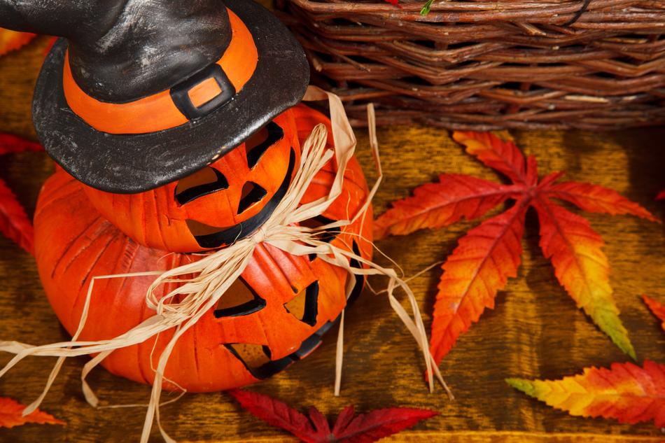 Autumn Decor Decoration