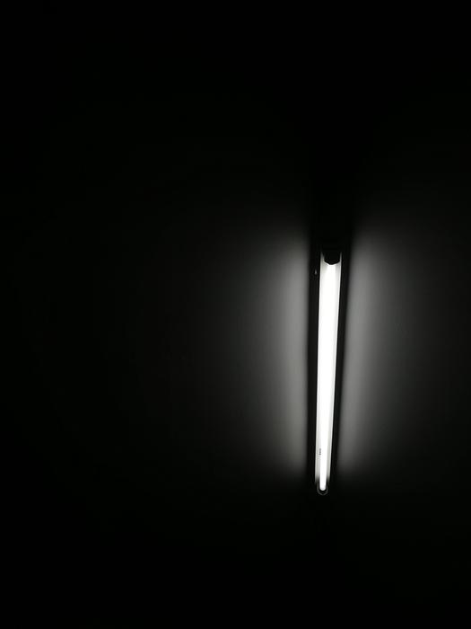 Bulbs Fire The Darkness