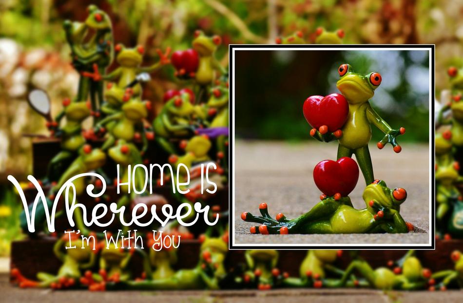 funny frogs love valentine day