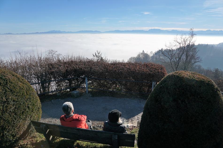 Fog Sky Nature