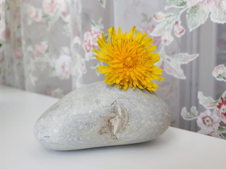 Flower Ease Bath