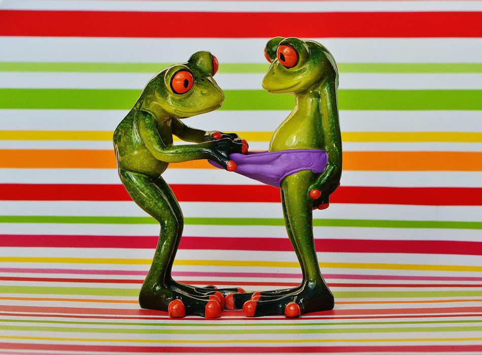 Frogs Curious Funny