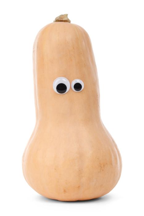 Character Butternut Squash White
