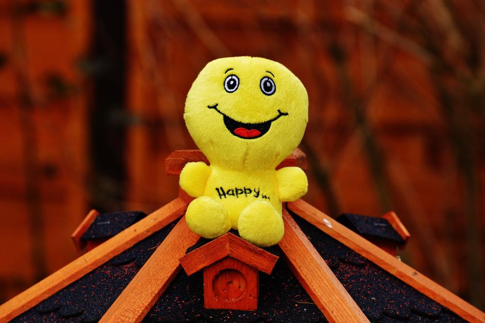 Happy Toy Smiley