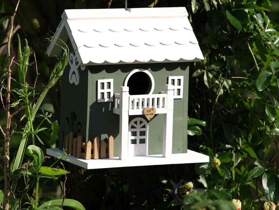 Aviary Love Garden