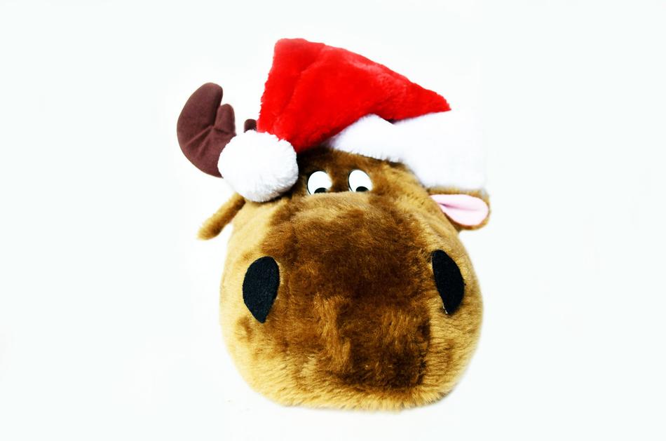 Christmas Reindeer Symbols