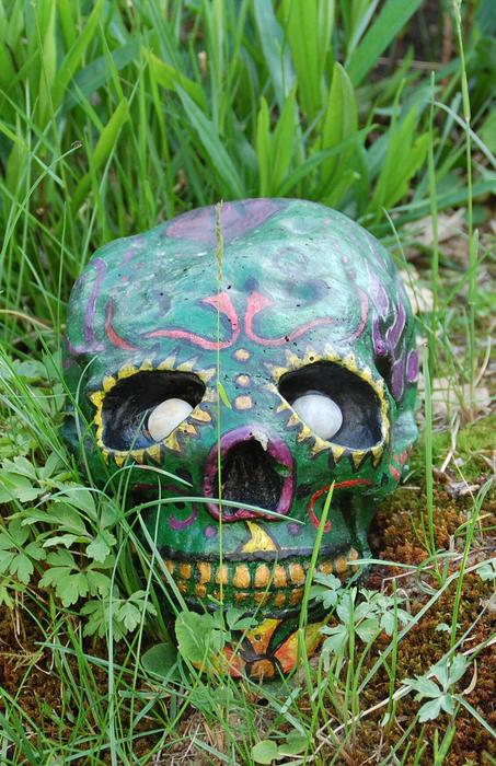 Skull Garden Halloween
