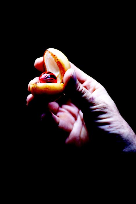 Spices Nutmeg Aphrodisiac Love