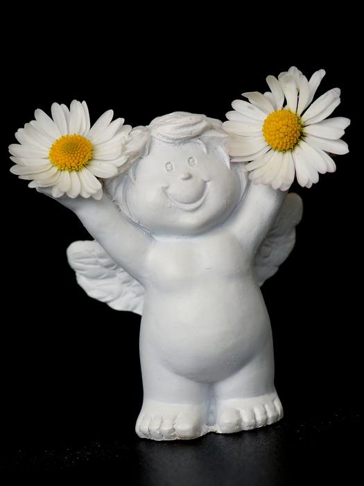 Guardian Angel Daisy Cheerful