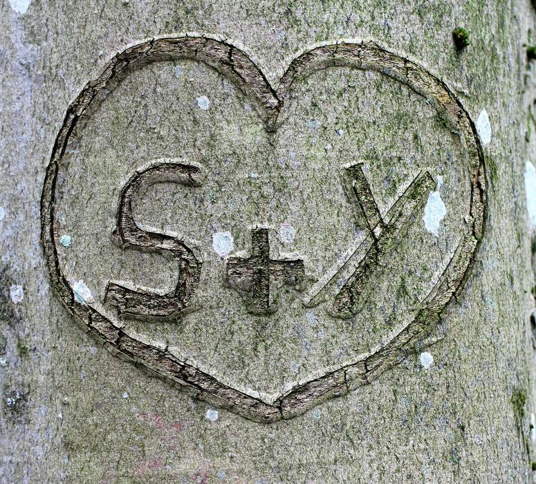 Heart on Tree Carved