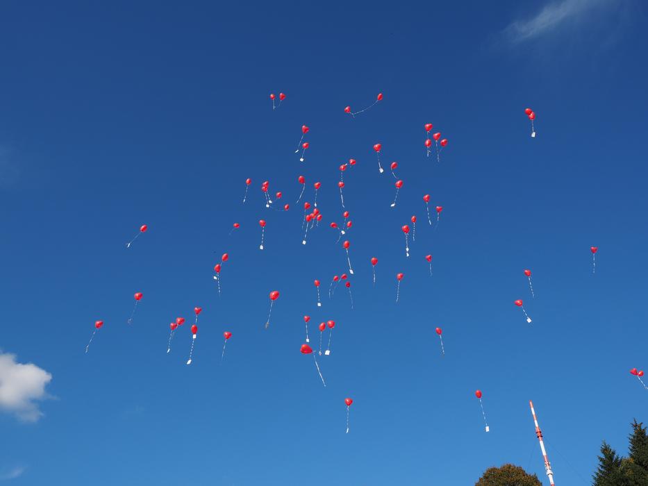 Balloons Flying Wedding congratulations