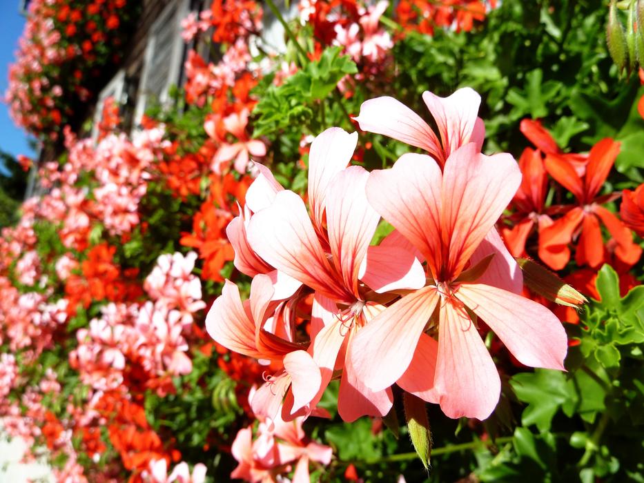 Beautiful Serene Colorful