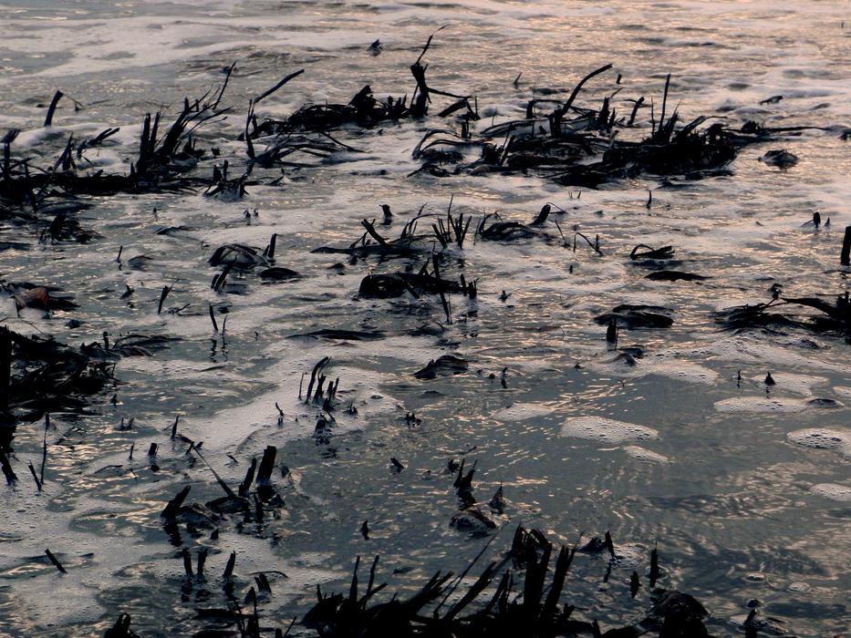 Sad Water Calm