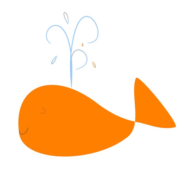 whale happy splash orange water