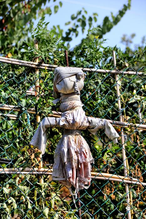Scarecrow Garden Doll