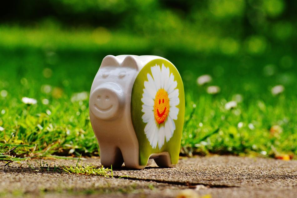 Piggy Bank Smiley Funny Good