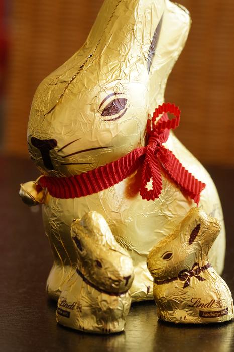 Easter Bunny Rabbit Gold Foil