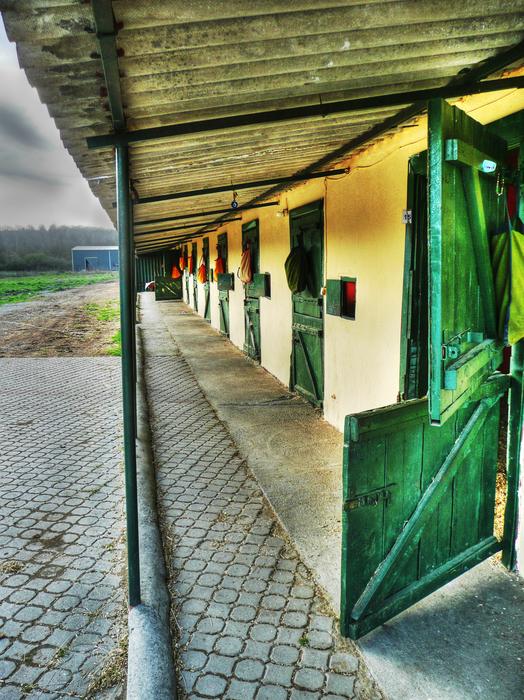Horse stable with green doors