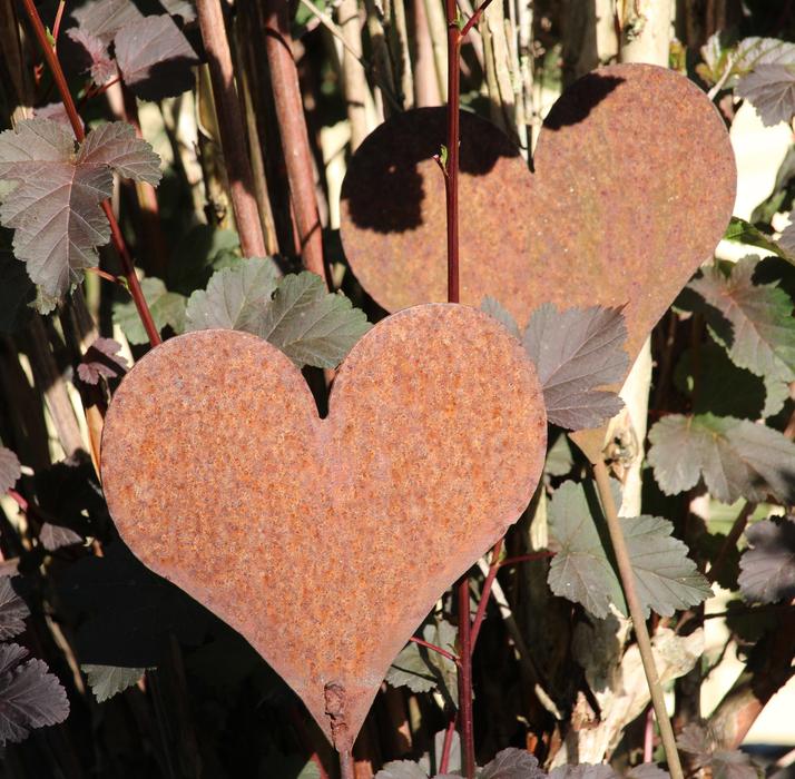 Heart Rust Metal Love