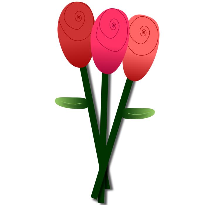 flowers roses tulips blossom love