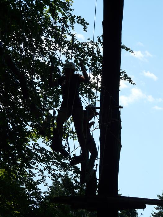 Electricians repair wires in trees
