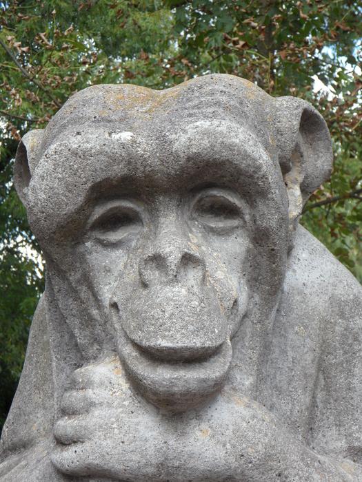 Monkey Stone Stony