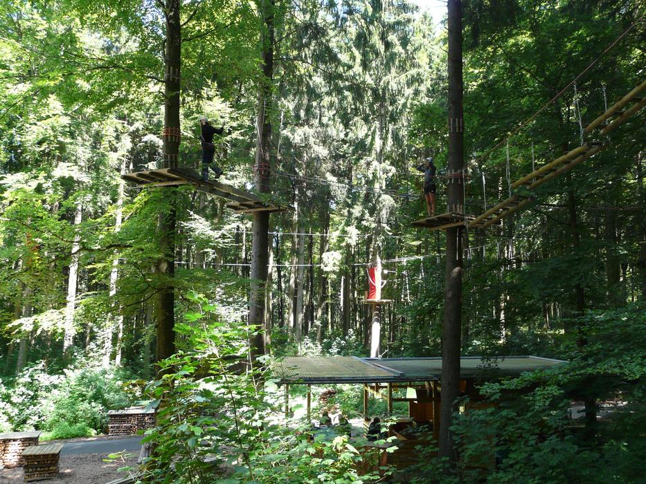 High Ropes Course Climb Drex