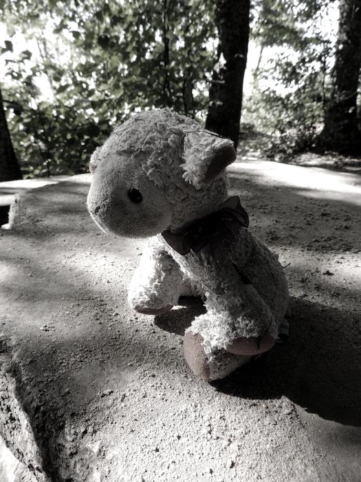 Teddy Bear Sad Stuffed Animal