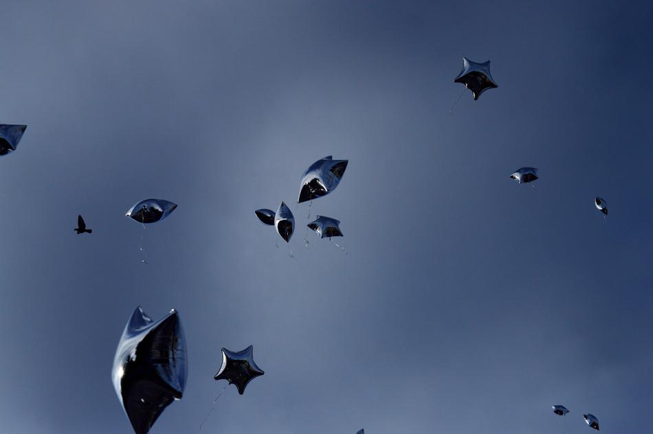 Sky Outdoors Flight Earth'S