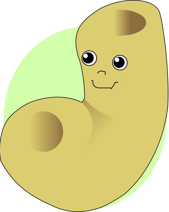 macaroni cartoon face funny happy