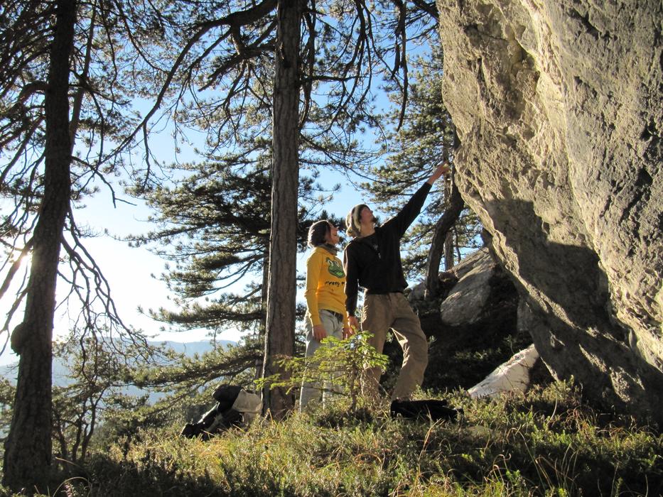 tourists at the stone with trees
