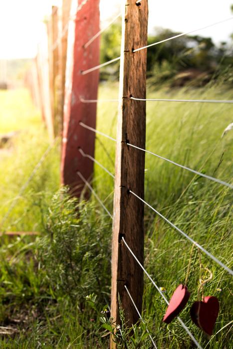 wooden fence in the meadow