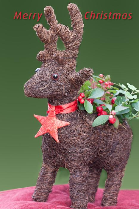 deer christmas green landscape