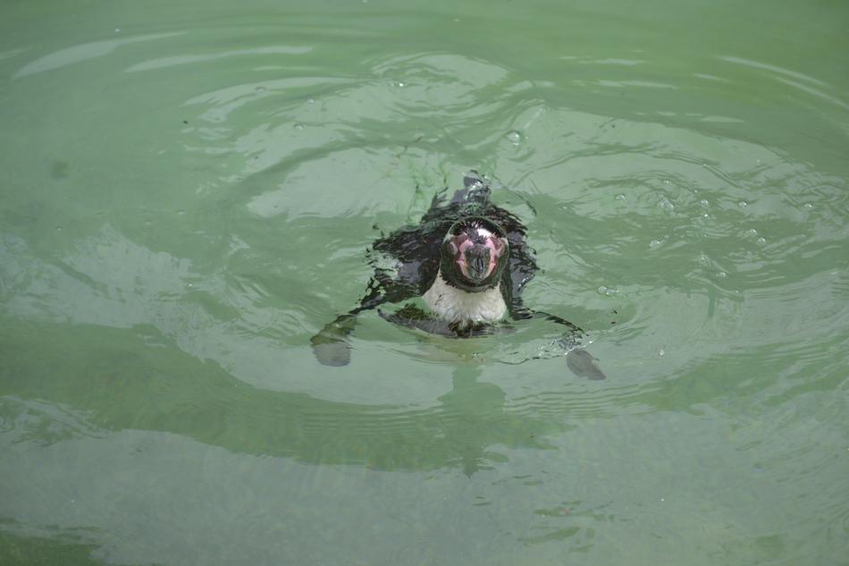 happiness is floating lake