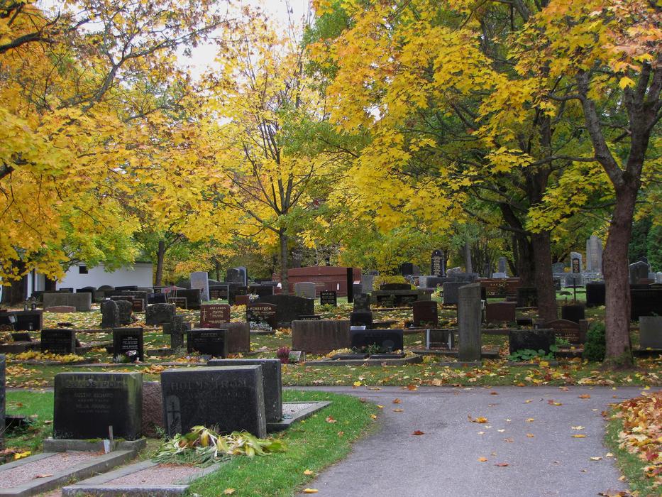 a stone cemetery with an autumn forest