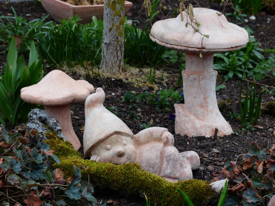 white mushrooms on green grass landscape