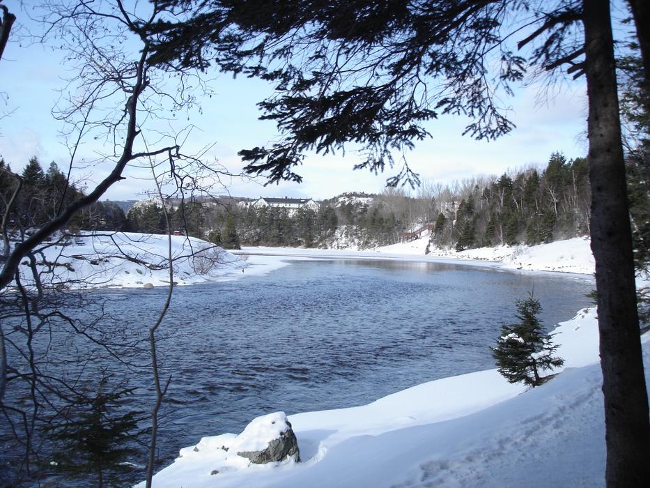 snowy weather by the lake with trees