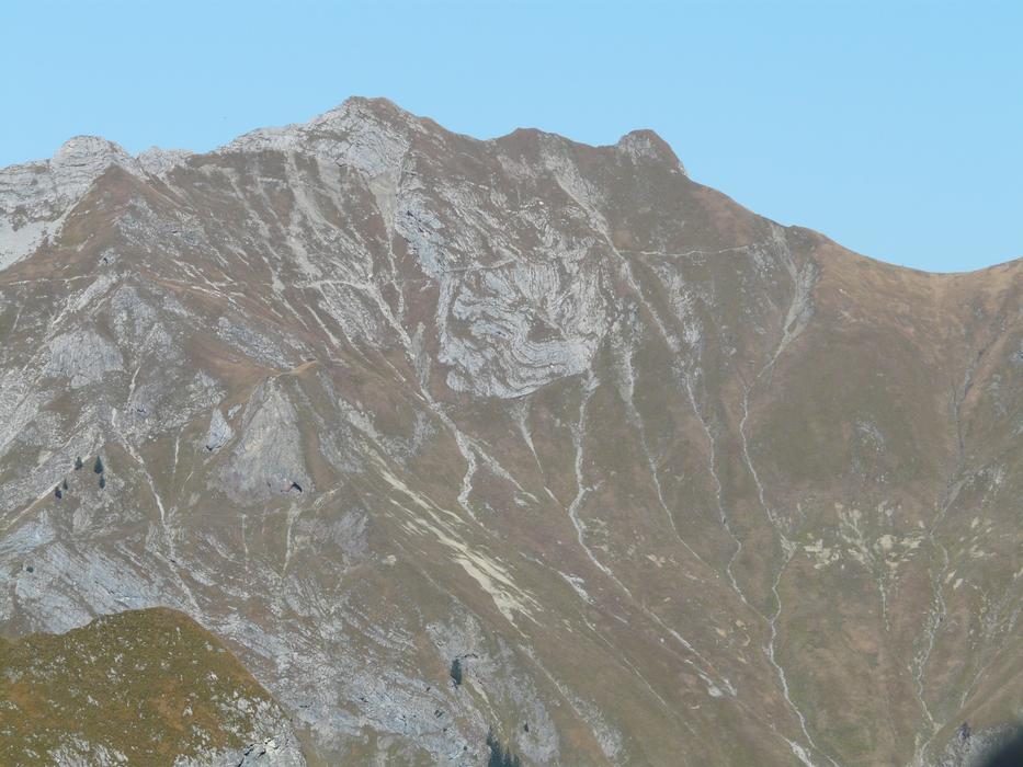 rocky mountain with green herbs