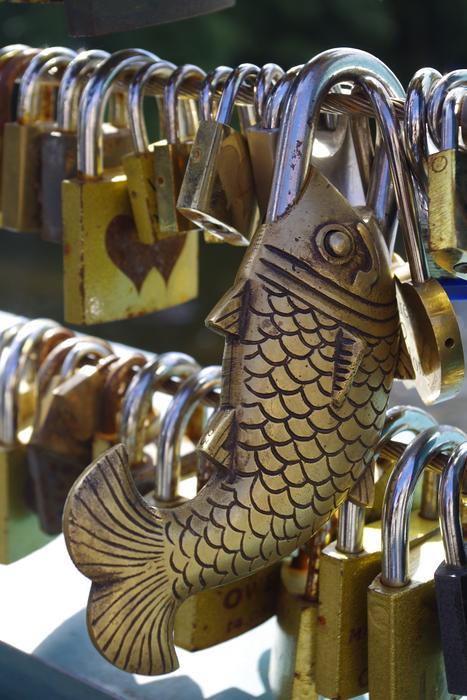 castle fish golden fountain