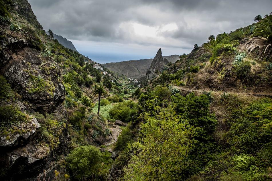 green mountain much landscape