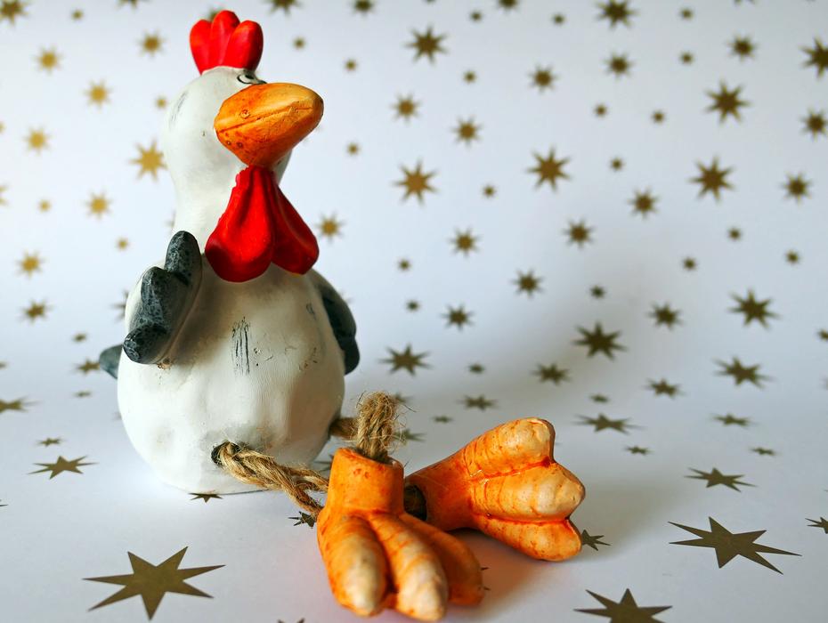funny chicken toy on a white background