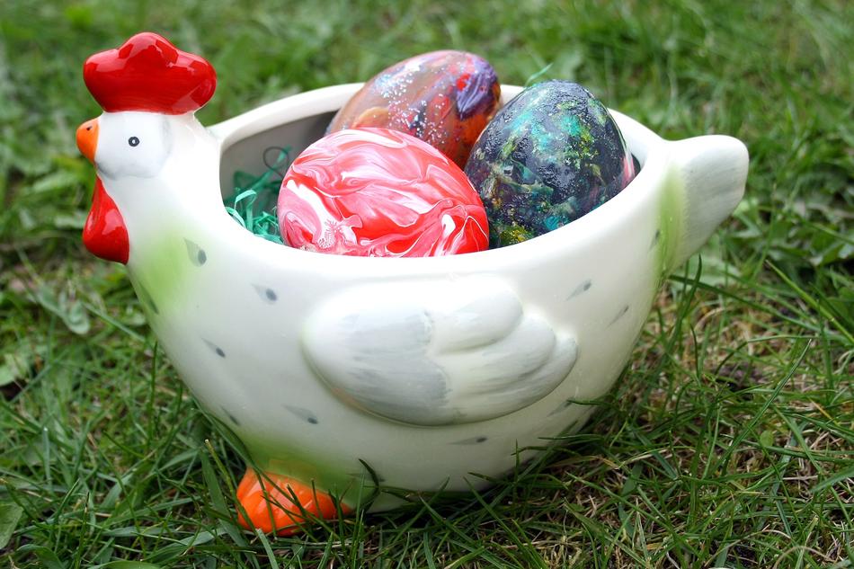 eggs chicken grass landscape