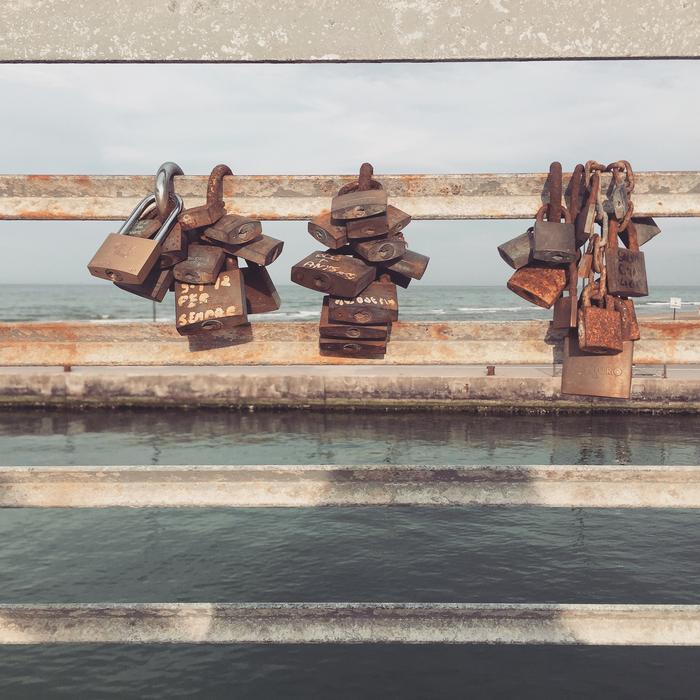 magnificent wooden forgeries