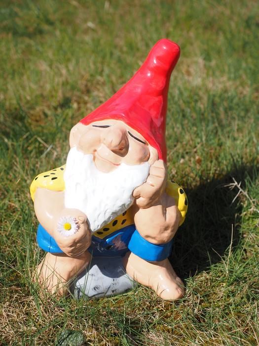 gnome with a red hood garden